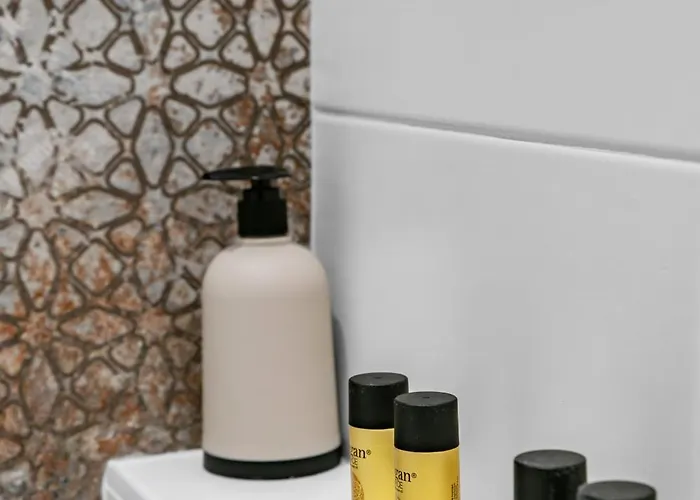 Le Helder - Elegant A Proximite Des Thermes Apartman Vichy